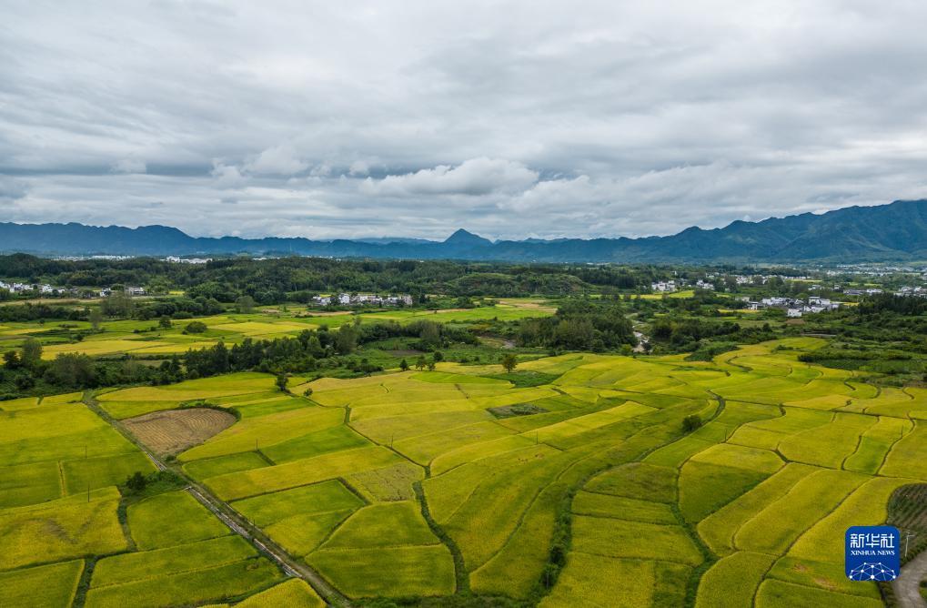 新加坡赌场攻略